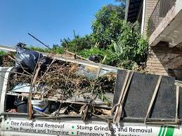 Best Furniture Removal  in Newark, NY